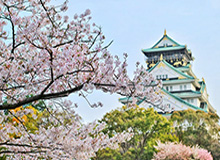意甲焦点战：都灵 VS 萨索洛，都灵深陷伤病潮，萨索洛客场有望拿分？